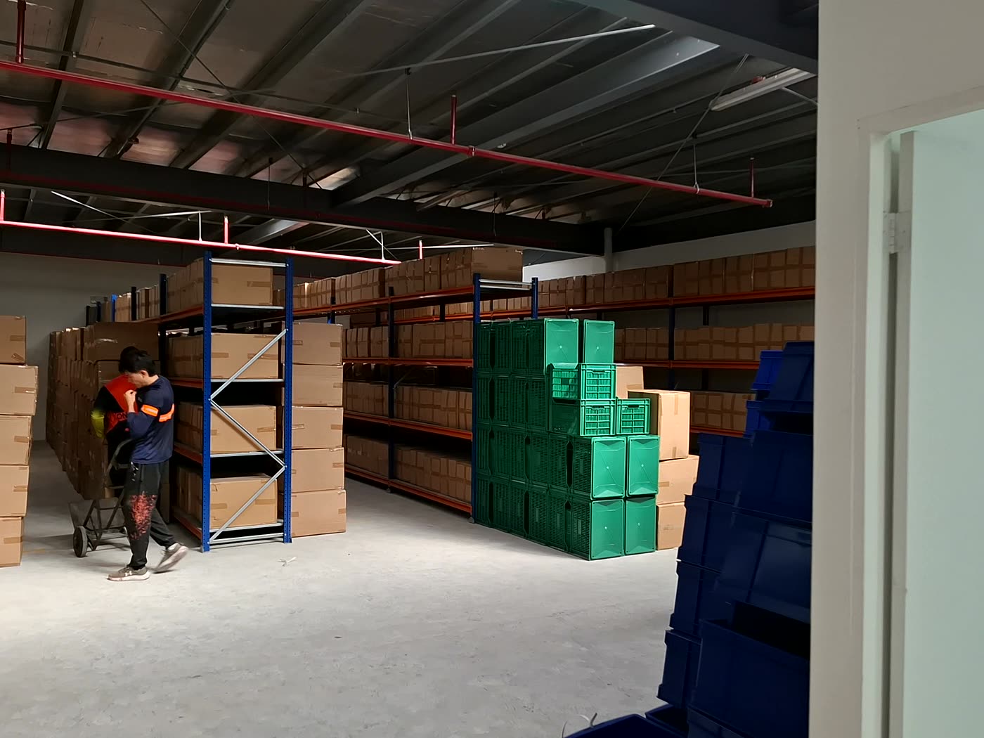 Bodega de Inversiones Fortune con cestas y cajas plásticas