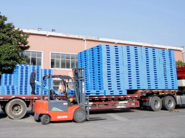 Paletas Plásticas para la Industria Alimenticia en Panamá: Cumplimiento, Higiene y Eficiencia Operativa