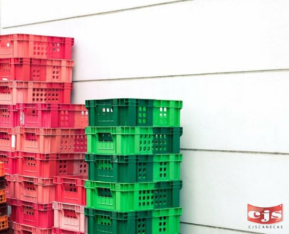 Cestas Plásticas para el Sector Alimenticio en Panamá: Normativas, Higiene y el Costo Real de No Cumplir